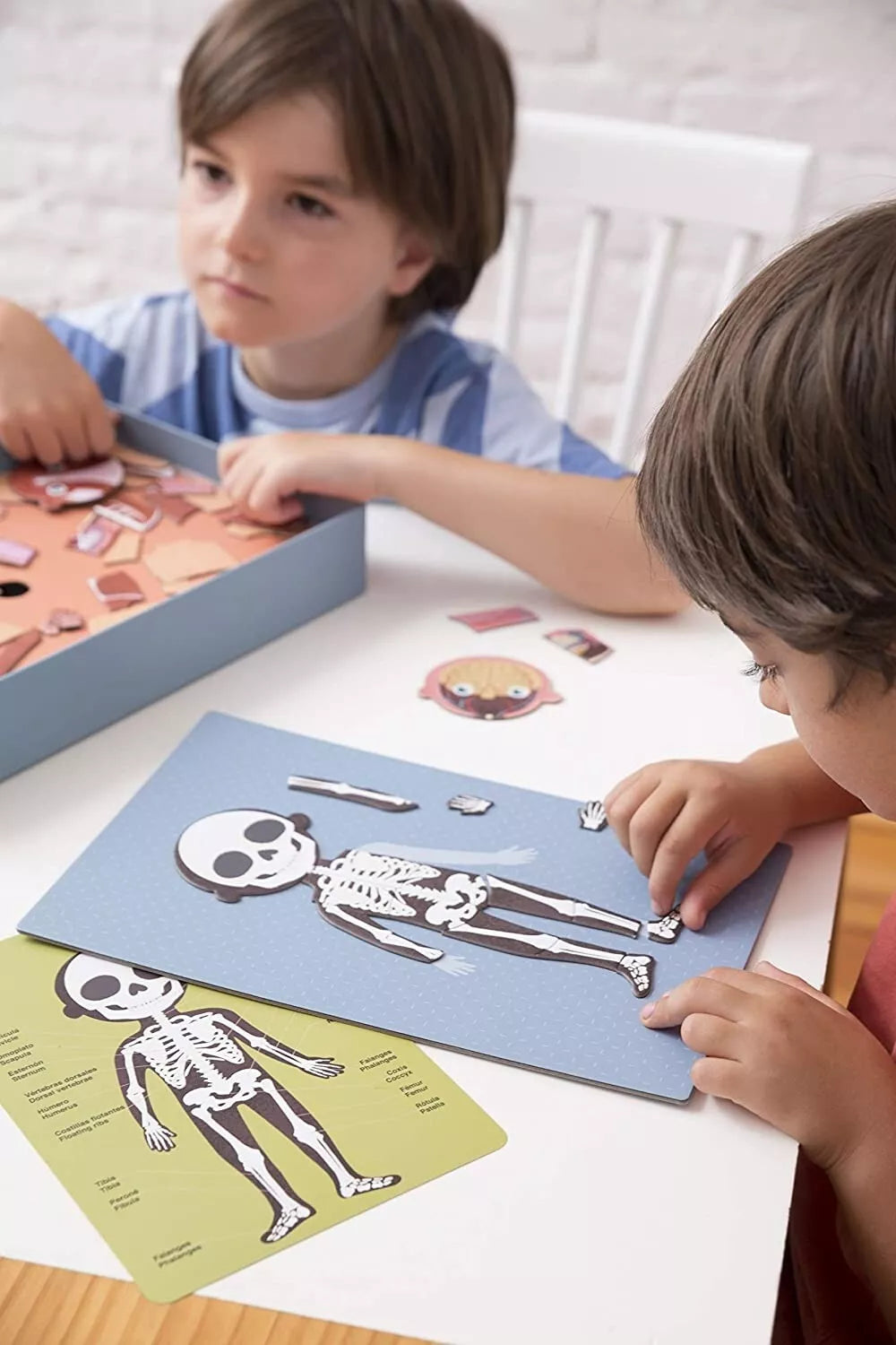 Magnetinis žaidimas-dėlionė „Žmogaus kūnas”