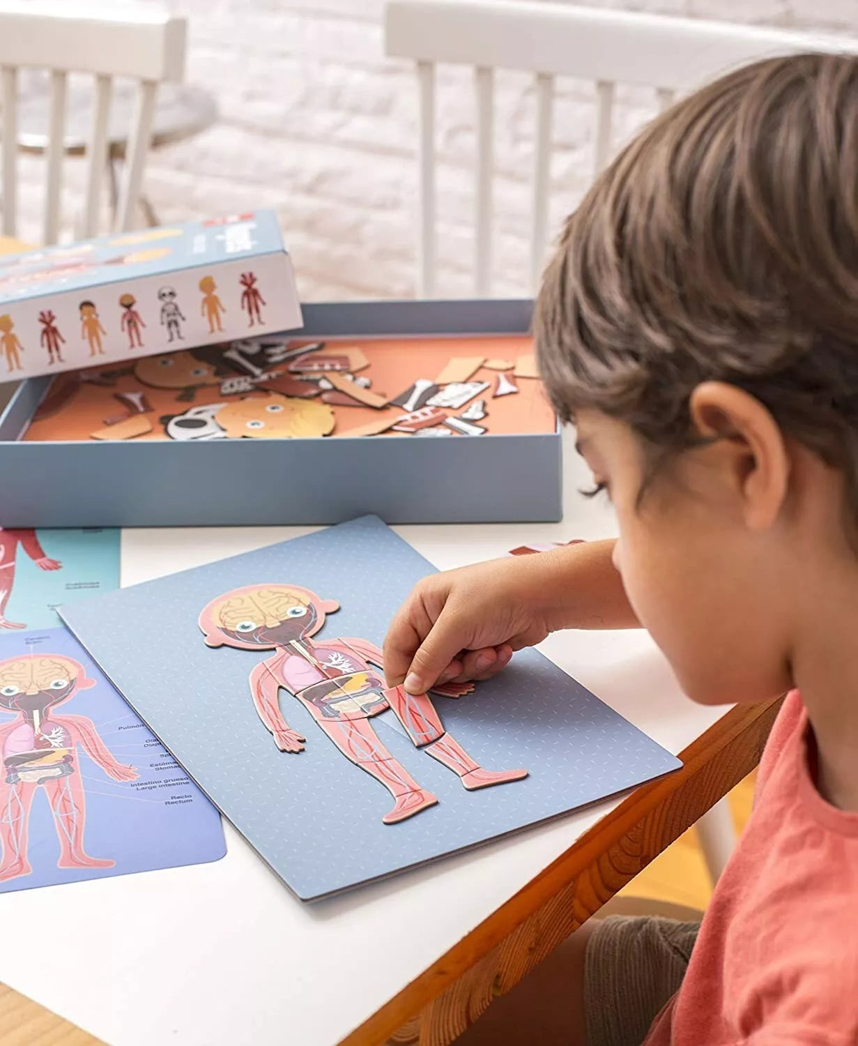 Magnetinis žaidimas-dėlionė „Žmogaus kūnas”