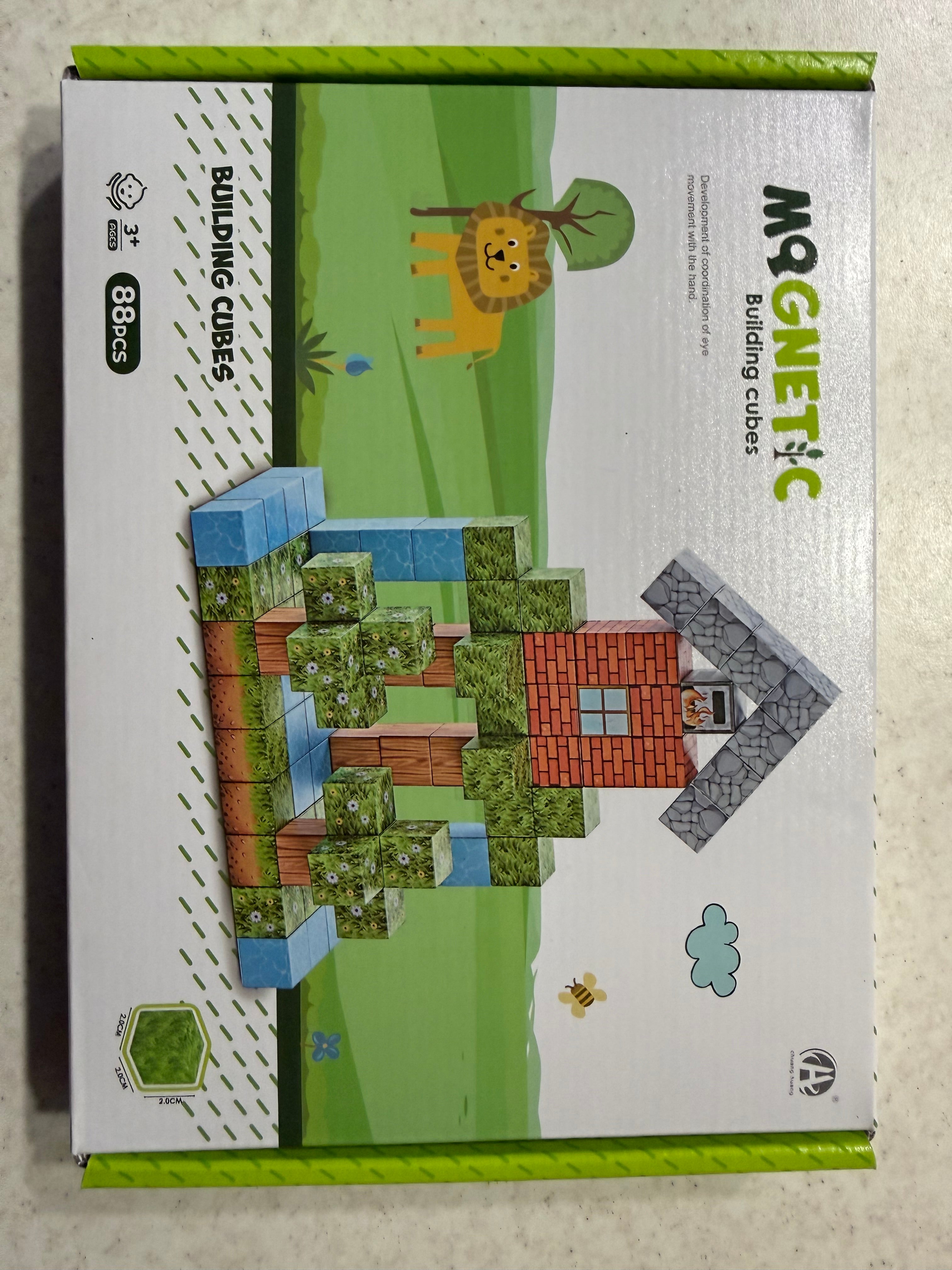 Minecraft magnetinis rinkinys